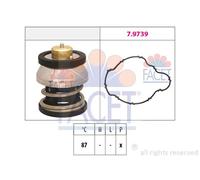 Termostato 7.7976 FACET per BMW MINI