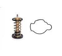 FACET 7.7981 Termostato motore