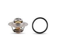 Facet 7.8239 Termostato, Refrigerante