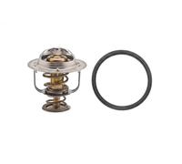 TERMOSTATO FACET 78403
