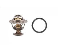 FACET 7.8415 Termostato motore
