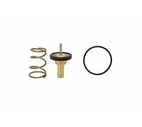 FACET 7.8995 Termostato motore