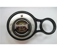 Termostato 718-91K MOTORAD per MINI CHRYSLER