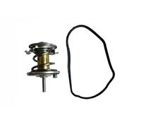 3RG 80195 Termostato motore