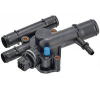 3RG 80443 Termostato motore