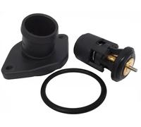 3RG 81761 Termostato motore