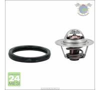 Termostato Acqua Meat Per Rover 100 75 45 25