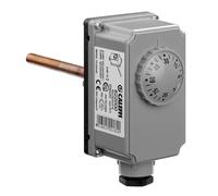 Termostato ad immersione regolabile da 0 a 90°C attacco mezzo pollice CALEFFI