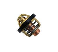 Termostato adatto for CF500 X5 ATV UTV CF codice 0180-022810 Linhai 500 22901 35171 1BE-12411-00 CF196 Goes 520 625i M550L T-BOSS 550 pezzi di ricambio