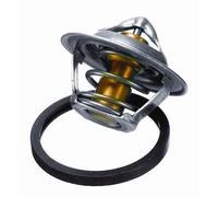 Termostato alloggiamento a due pezzi 3017.87D2 BorgWarner (Wahler) per DAEWOO