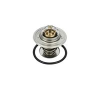 Termostato B18231 Borsehung per VW SEAT