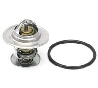 Termostato B18262 Borsehung per AUDI VW