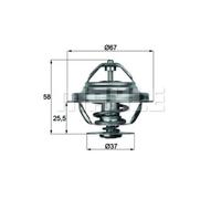 Termostato BEHR Per Refrigerante Con Guarnizione 71°C TX 20 71D