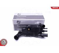 Termostato CITROEN Berlingo C4 I C5 I Xsara PEUGEOT 307 406 607 Partner