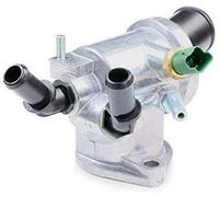 TERMOSTATO COMPLETO MAGNETI MARELLI 352317100440