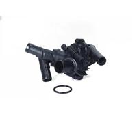 MAXGEAR 18-0839 Termostato motore