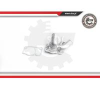 ESEN SKV 20skv036 motore