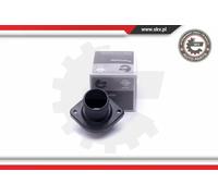 Termostato, Refrigerante compatibile con CITROËN PEUGEOT CITROËN/PEUGEOT