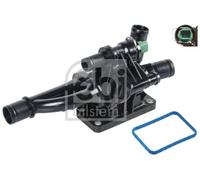 FEBI BILSTEIN 36173 Termostato, refrigerante per CITROËN,FIAT,FORD,FORD AUSTRALI