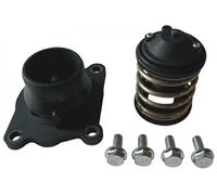 AIC 56067 Termostato, refrigerante per ALPINA,BMW,MINI,TOYOTA