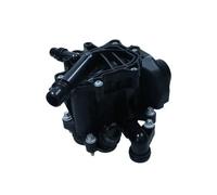 MAXGEAR Termostato motore