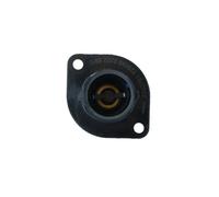 Termostato, refrigerante NRF 725035