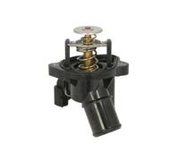 Termostato, refrigerante THERMOTEC D2G015TT