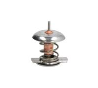 Termostato, refrigerante THERMOTEC D2Y002TT