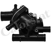 Termostato con alloggiamento TH6320.89J CALORSTAT by Vernet per OPEL RENAULT