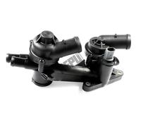 HEPU TM1151 Termostato motore