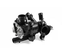 HEPU TM1382 Termostato motore