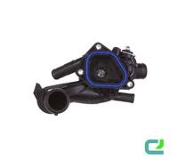 Termostato con Guarnizione MAHLE per Mini Countryman (R60