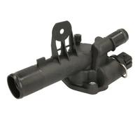 Termostato D21001TT THERMOTEC per RENAULT NISSAN DACIA