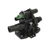 Termostato, refrigerante THERMOTEC D2C009TT