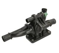 Termostato D2C011TT THERMOTEC per FORD MAZDA VOLVO PEUGEOT CITROËN FIAT MINI