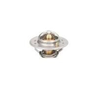 THERMOTEC D2CA006TT Termostato, refrigerante