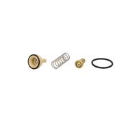 TERMOSTATO DEL LIQUIDO DI RAFFREDDAMENTO BEHR PER VW AUDI SEAT SKODA BTX18195D