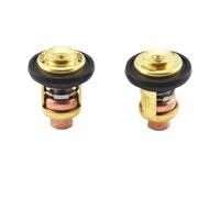 Termostato del motore del motore fuoribordo Compatibile con 2 tempi da 15 CHP da 15 CHP da 30 CHP da 220 CHP Parte di sostituzione 6E5-12411-00 6E5-12411-02 per motori a barca marina(2 PIECES)