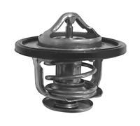 DAYCO DT1055V Termostato motore