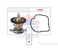 TERMOSTATO FACET 78590