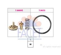 TERMOSTATO FACET 78689