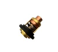 Termostato for Motore Montato su fuoribordo for 60℃ 66M Universale 3-225HP 6G8-12411-01