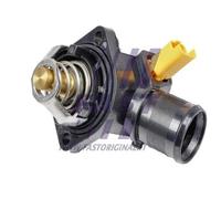 FAST FT58013 Termostato motore