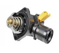 FAST FT58013 Termostato motore