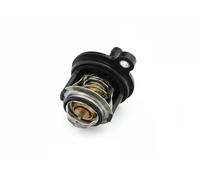 Termostato FAST Refrigerante FT58030 Per Ford