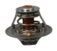 Termostato Refrigerante Fast FT58032 per Renault Trucks General Motors Iveco
