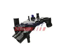 FAST FT58052 Termostato, refrigerante per CITROËN,FIAT,PEUGEOT