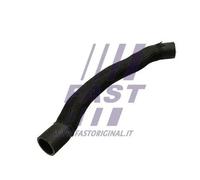 FAST FT61096 Termostato motore