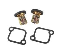 Termostato fuoribordo 140°F 60°C ADATTO for 3.0L EFI V6 200 HP 225 HP 250 HP 8M0057307 885599005 18-3606