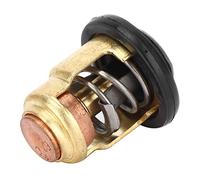 Termostato Fuoribordo Termostato Motore 3P-225P 6G8-12411-01 Sostituzione Termostato per Motore Fuoribordo Sostituzione Termostato Nautico per Barca per 9.9-70hp 4 tempi